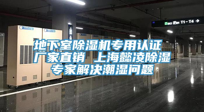 地下室亚洲深夜福利專用認證 廠家直銷 上海懿淩除濕專家解決潮濕問題