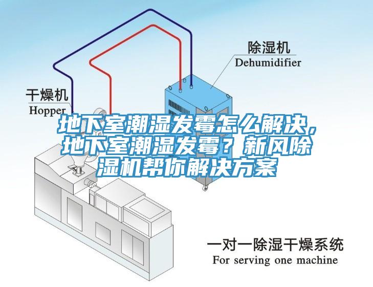 地下室潮濕發黴怎麽解決，地下室潮濕發黴？新風亚洲深夜福利幫你解決方案