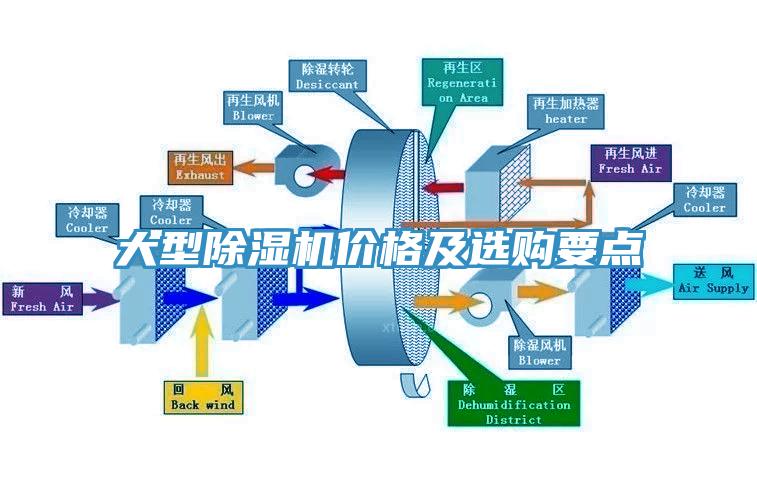 大型亚洲深夜福利價格及選購要點