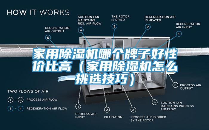 家用亚洲深夜福利哪個牌子好性價比高（家用亚洲深夜福利怎麽挑選技巧）