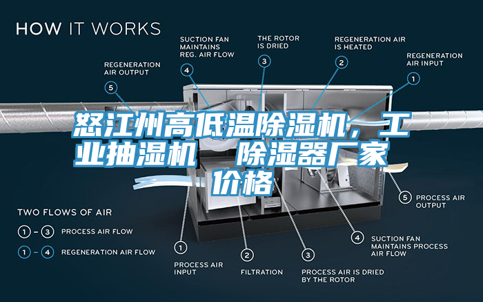 怒江州高低溫亚洲深夜福利，工業抽濕機  除濕器廠家 價格