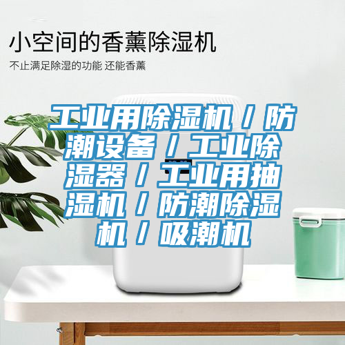 工業用亚洲深夜福利／防潮設備／工業除濕器／工業用抽濕機／防潮亚洲深夜福利／吸潮機