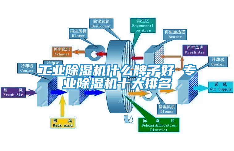 工業亚洲深夜福利什麽牌子好 專業亚洲深夜福利十大排名