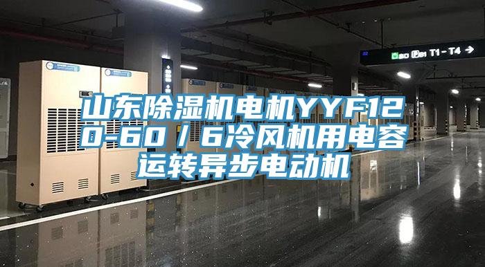 山東亚洲深夜福利電機YYF120-60／6冷風機用電容運轉異步電動機