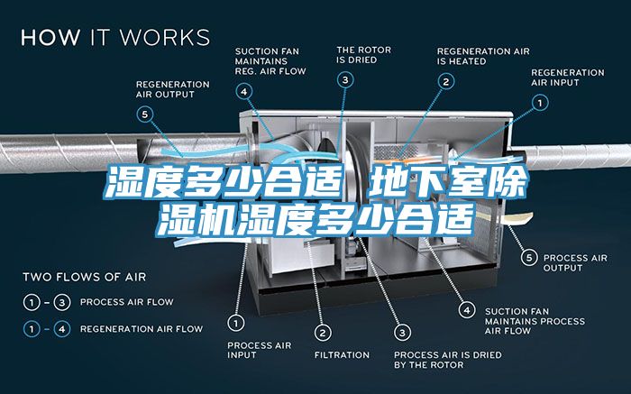 濕度多少合適 地下室亚洲深夜福利濕度多少合適