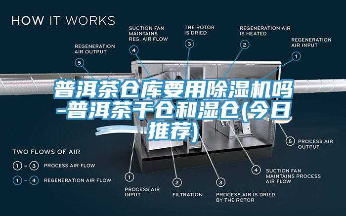 普洱茶倉庫要用亚洲深夜福利嗎-普洱茶幹倉和濕倉(今日推薦)