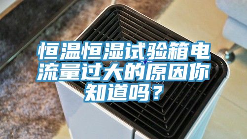 恒溫恒濕試驗箱電流量過大的原因你知道嗎？