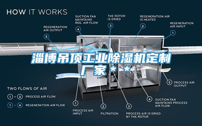 淄博吊頂工業亚洲深夜福利定製 廠家＊＊