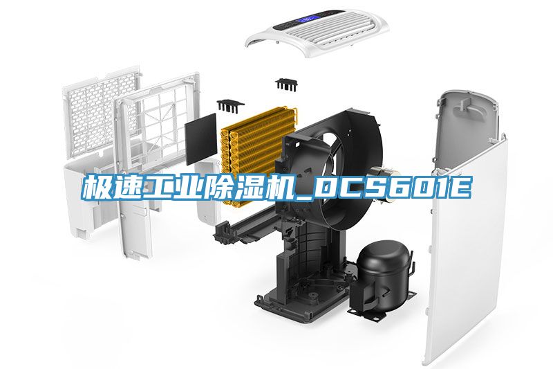 極速工業亚洲深夜福利_DCS601E