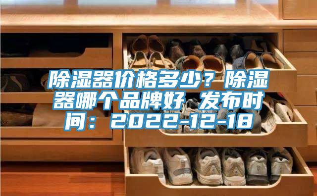 除濕器價格多少？除濕器哪個品牌好 發布時間：2022-12-18