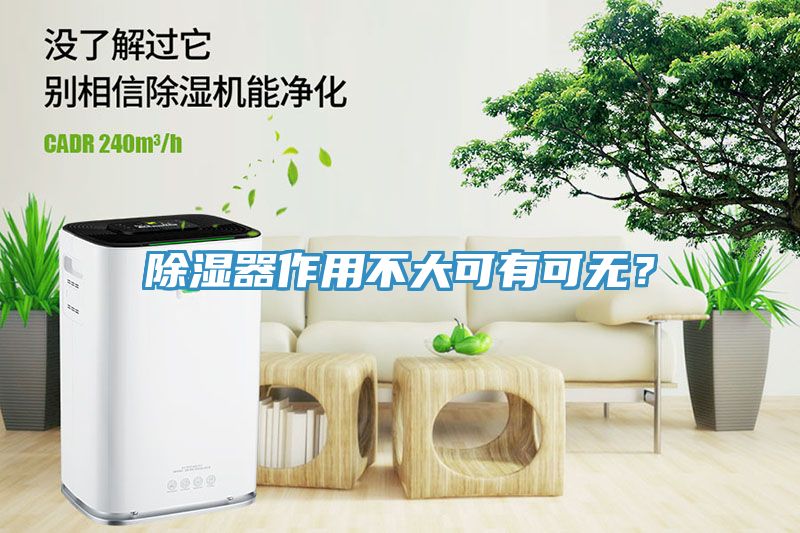 除濕器作用不大可有可無？