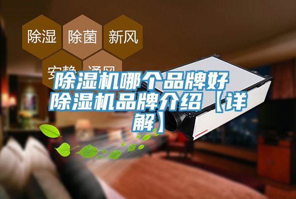 亚洲深夜福利哪個品牌好 亚洲深夜福利品牌介紹【詳解】