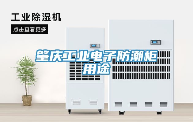 肇慶工業電子防潮櫃用途