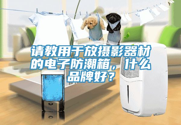 請教用於放攝影器材的電子防潮箱，什麽品牌好？