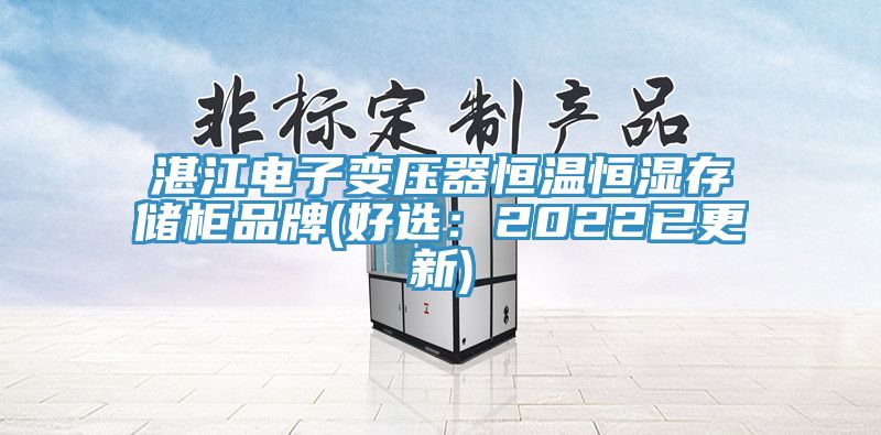 湛江電子變壓器恒溫恒濕存儲櫃品牌(好選：2022已更新)