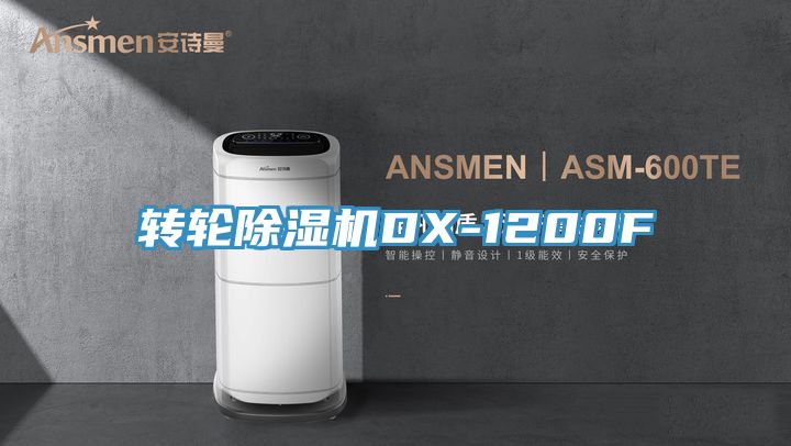 轉輪亚洲深夜福利DX-1200F